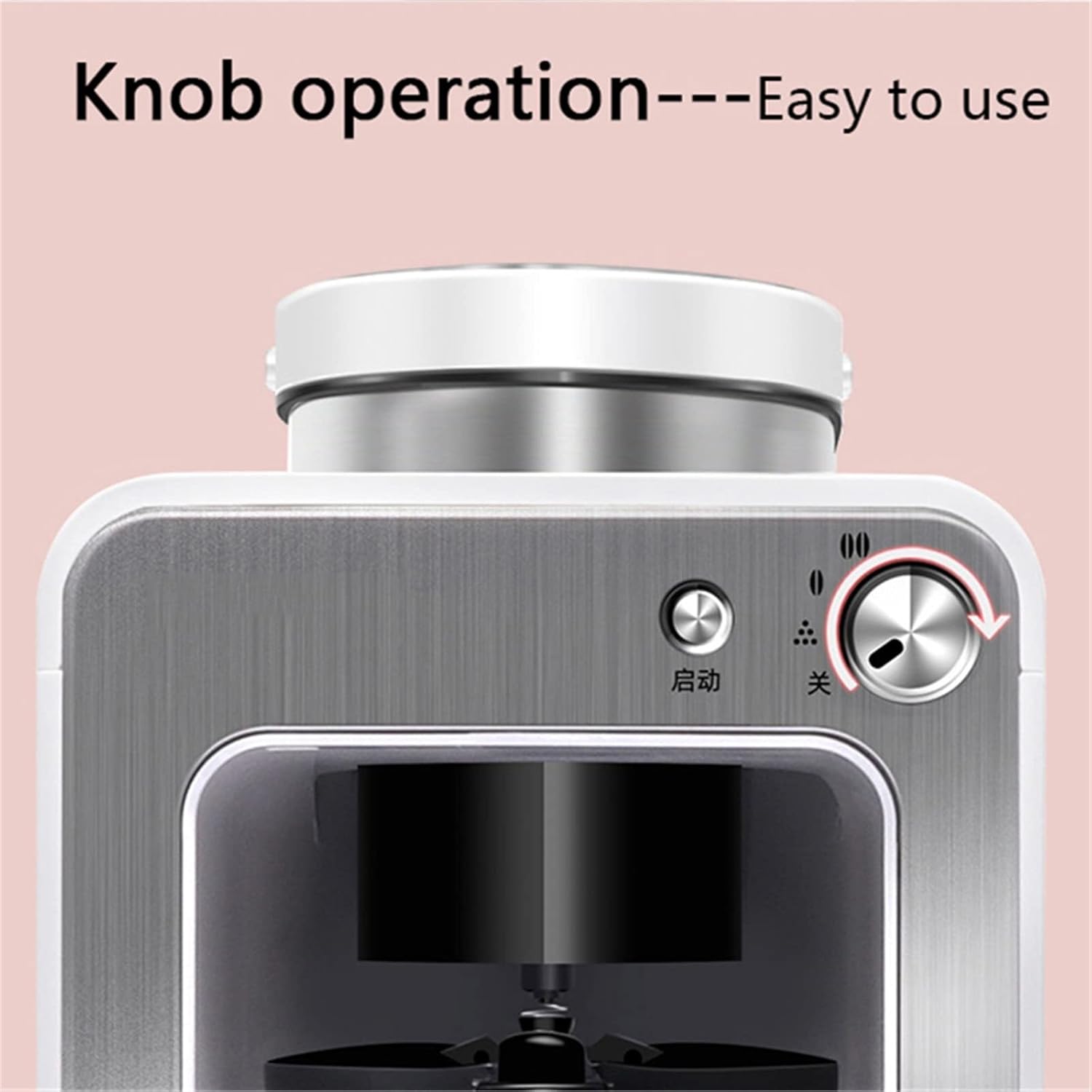 P. willinckii 'Jenny' TC 2832 2025年最新】P.willinckii jennyの人気