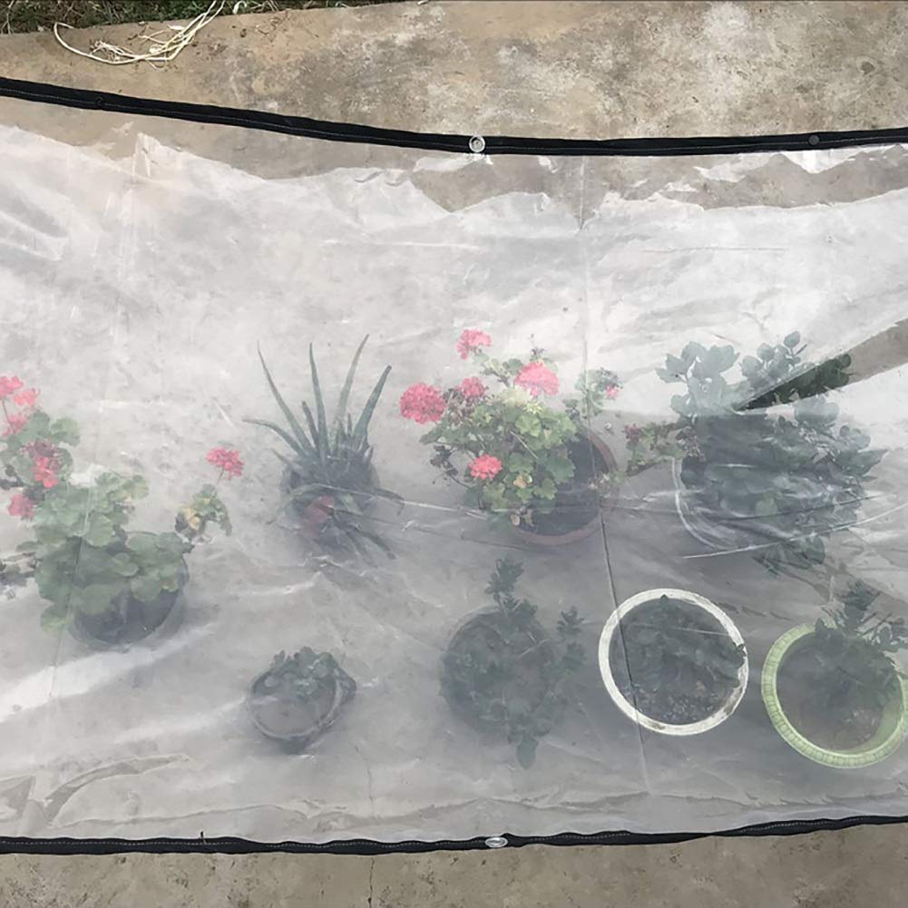 Lona Transparente a Prueba de Lluvia Toldos para Plantas de Invernadero Borde de plástico Toldo para balcón Exterior Aislamiento térmico A Prueba de Polvo (Tamaño: 4X5m)