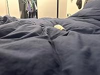 Review Image by Hannah Hannah