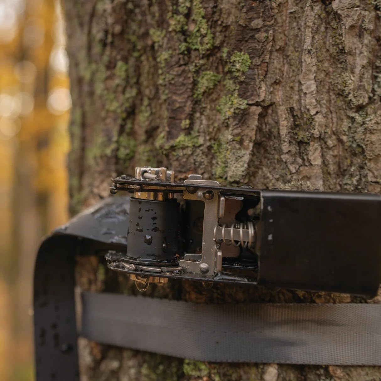 Rivers Edge® Forever Strap, 1800 lb Breaking Strength, RE797