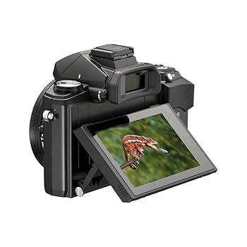 OLYMPUS デジタルカメラ 50倍ズーム Amazon | OLYMPUS デジタル一眼レフカメラ E-510ダブルズーム