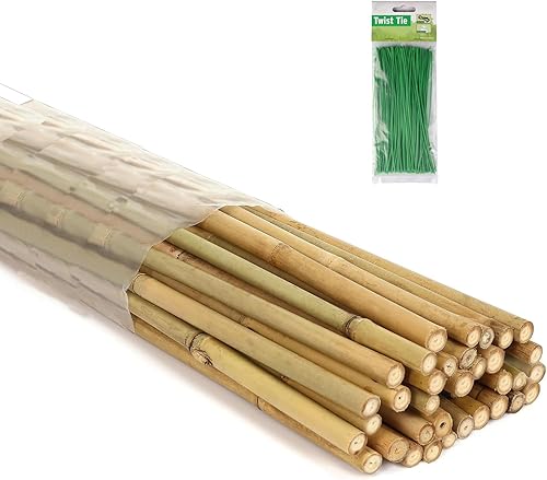 Miniatura 1 de 25 estacas de jardín de bambú de 4 pies con 100 lazos, estacas de bambú natural para tomates, pepino, uvas, judías, árboles, flores de dalia en