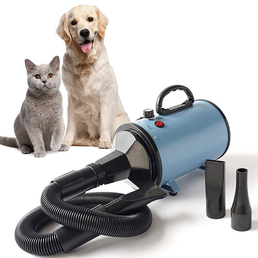 Secador de Pelo Profesional para Mascotas, máquina de soplado de Pelo para Perros, máquina de soplado de Agua, Adecuada para Perros y Gatos Grandes y medianos, 2000 W de Potencia, silencioso, antiesc
