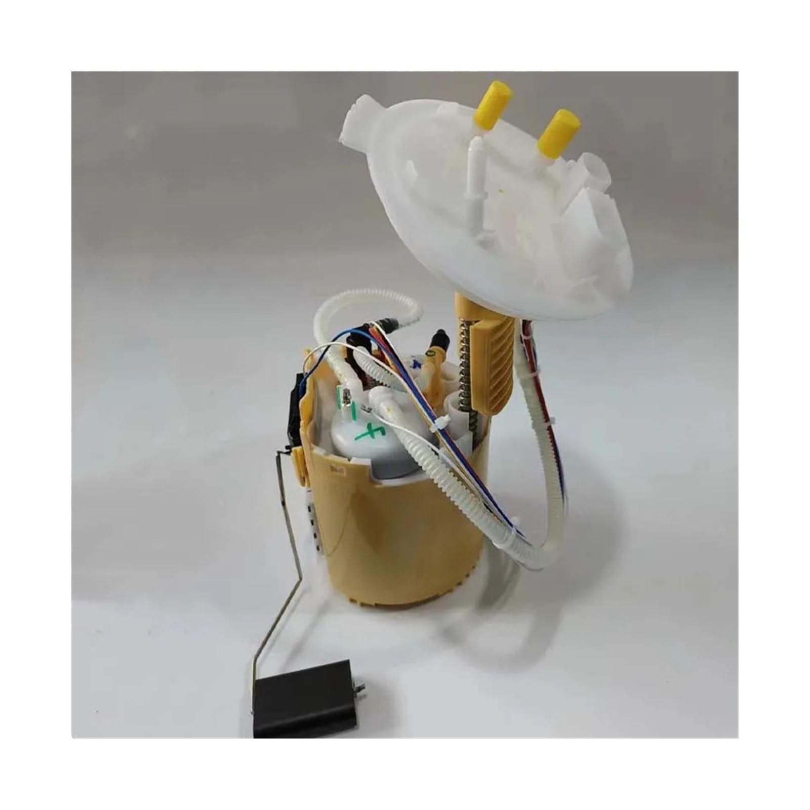 ヨシコ 51vrPw3jdyL._UF350,350_QL50_.jpg