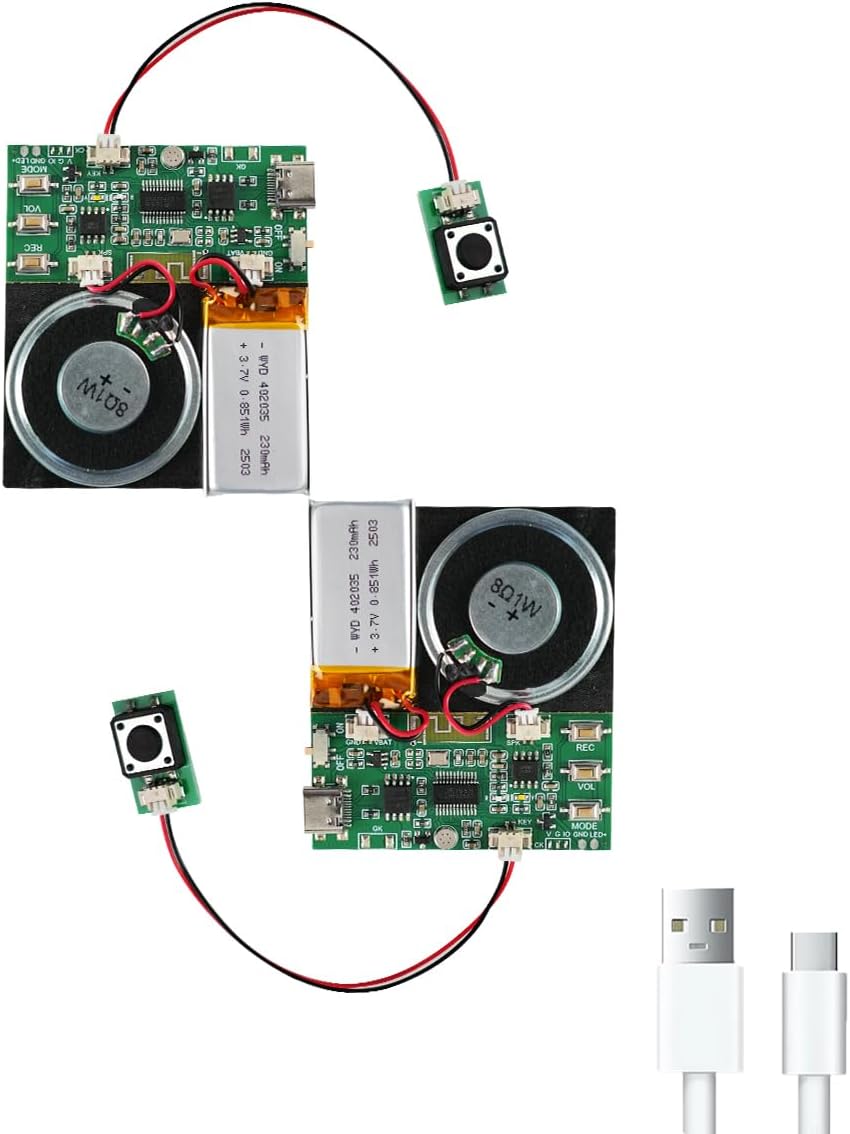 Bluetooth & MIC Recording Audio Sound Module, 8MB Voice Chips with Speaker,8 Min Easy Sound Recording Chip for Personalized Greetings, DIY Projects, Holiday Crafts ect-2P.