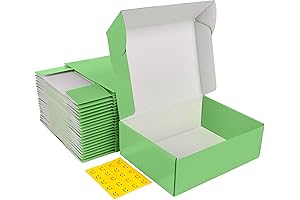 MEBRUDY 12x9x4 Inches Holiday Shipping Boxes Pack of 20