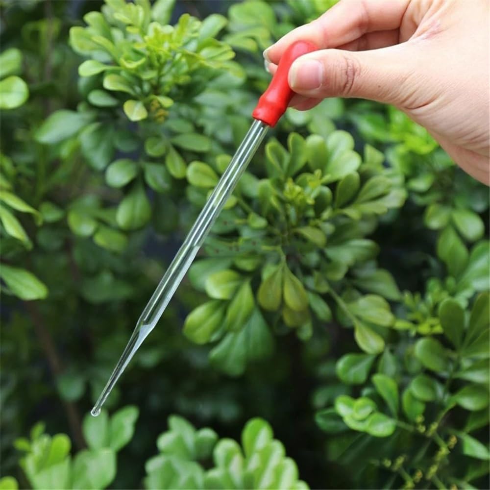 Pipeta de vidrio borosilicato, Pipeta de transferencia vidrio borosilicato con cubierta goma for cabezal, 10 unidades por paquete, 90-200mm(Length 100mm)