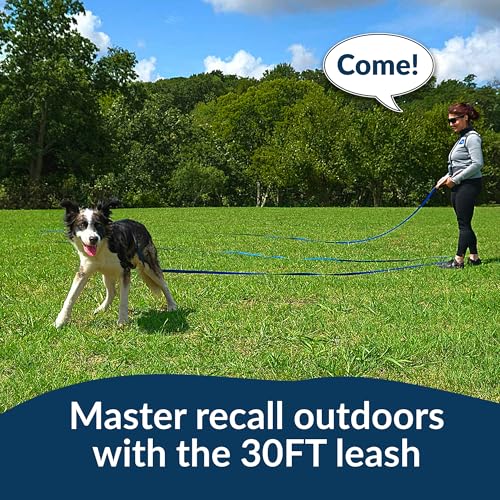 Puppy-Essentials-Dog-Training-Kit-Dog-Treat-Pouch-30-Foot-Leash-for-Dogs-Dog-Clicker-for-Training-Collapsible-Dog-Water-Bowl-Dog-Poop-Bag - Cucciolini Doodles   Puppy-Essentials-Dog-Training-Kit-Dog-Treat-Pouch-30-Foot-Leash-for-Dogs-Dog-Clicker-for-Training-Collapsible-Dog-Water-Bowl-Dog-Poop-Bag