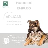 Ver la foto 4