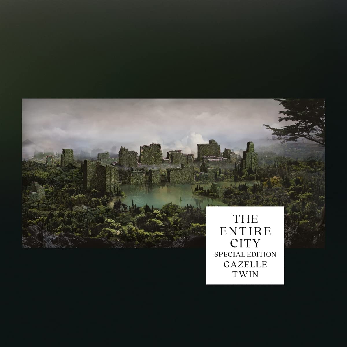 The Entire City (Special Edition)