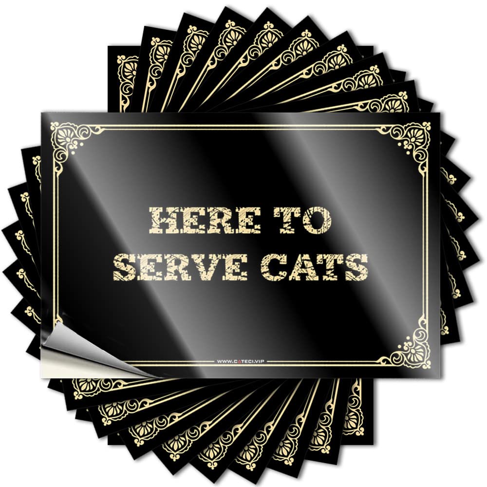 Pool Decorations Outdoor Soft Area Sticker | Here to Serve Cats Spicy for Motorcycle Decor(8X12CM)