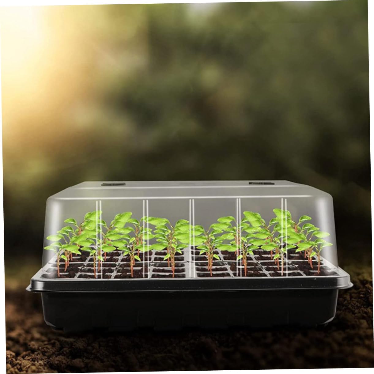 1set Plant Germination Trays Humidity Domes Plastic Starter Trays for Vegetable Flower Microgreens Growth Includes Each and Planting Tools