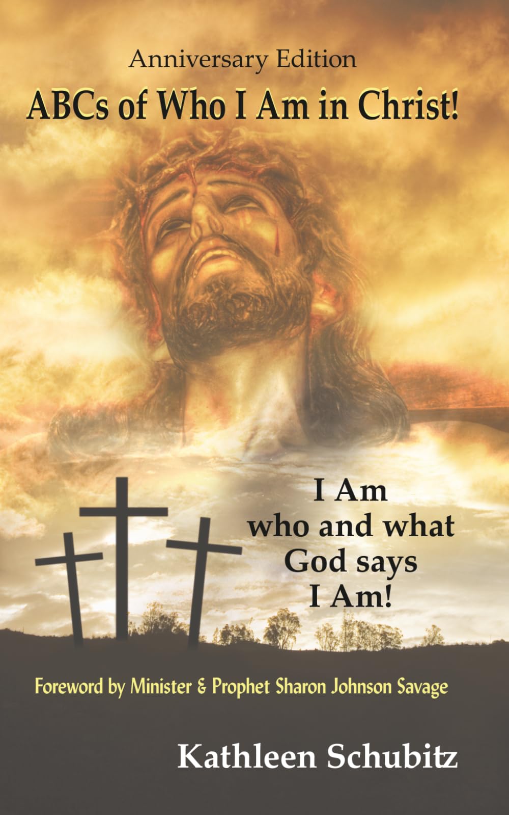 ABCs of Who I Am in Christ! Anniversary Edition: I am who and what God says I am!