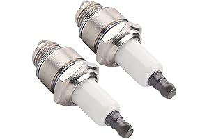 (Pack of 2) RJ19LM Spark Plug for Briggs Stratton 796112 802592 5095K Champion J19LM (868)