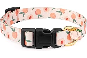White Peach Dog Collar for Small Medium Large Dogs