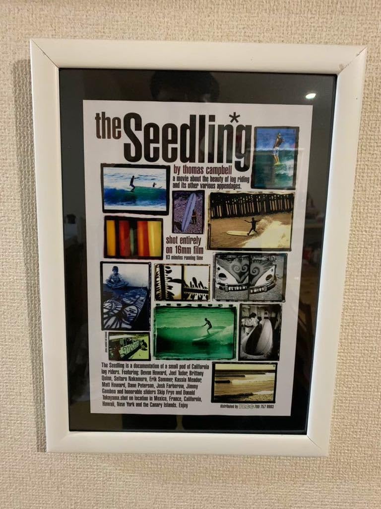 thomas campbell seedling Joel Tudor フレーム 【公式通販】