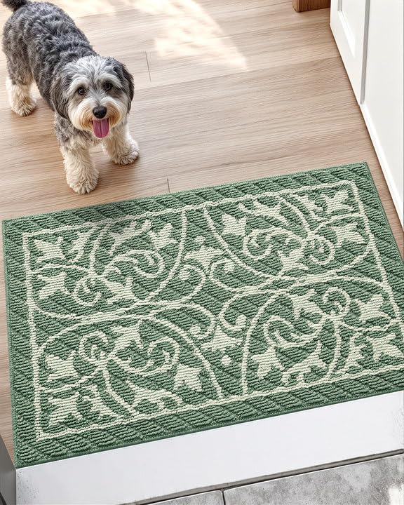 DEXI Front Door Mat Entryway, Inside Welcome Entrance Doormat Low Profile Thin, Non Slip Washable Entry Mats for House Floor Dirt Trapper, 24x36, Dark Sea Green