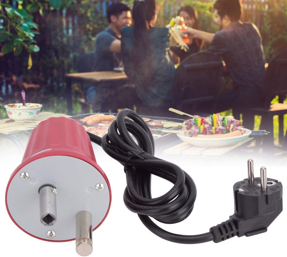 mumisuto Motore per Barbecue, FD801 Motore Girarrosto per Barbecue Motorino DC 220V 230V 240V Griglia Elettrica Barbecue Macchina Accessori per Barbecue all'aperto Strumento per Esterni