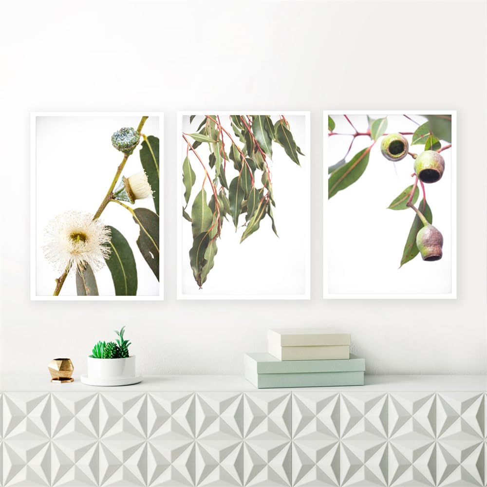 WBYZAC Art Prints-Abstract Canvas Painting Botanical Flower Nordic Posters and Prints Wall Art Wall Pictures for Room Bedroom Kitchen Decor Artwork-50 * 60cm*3PCS (No Frame)