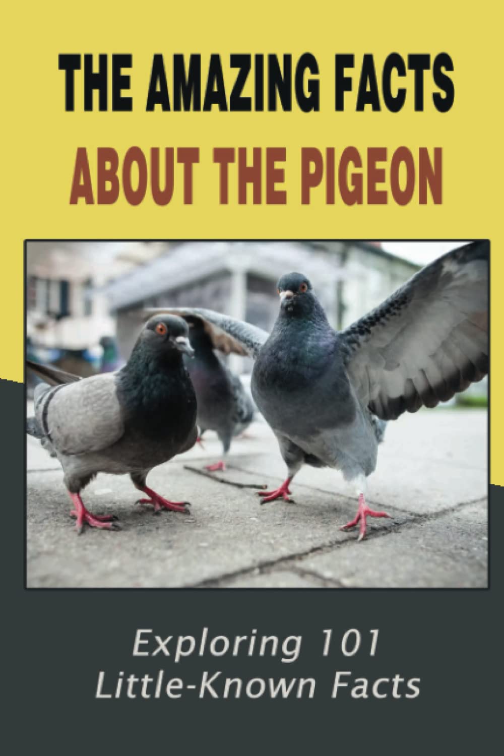 The Amazing Facts About The Pigeon: Exploring 101 Little-Known Facts