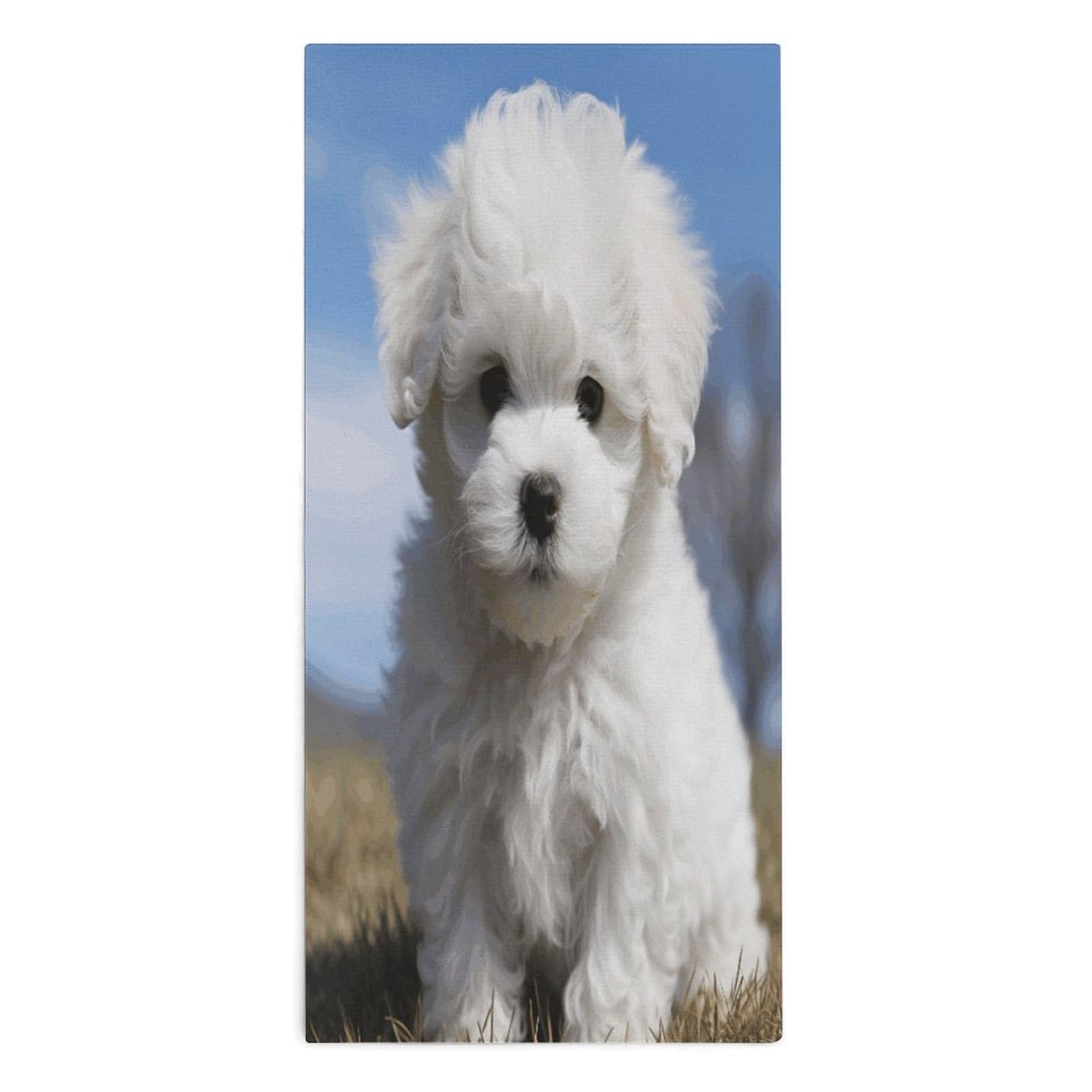 YUXBVKRS Bichon Frise Dog Hand Towels for Bathroom 14x29 Inch