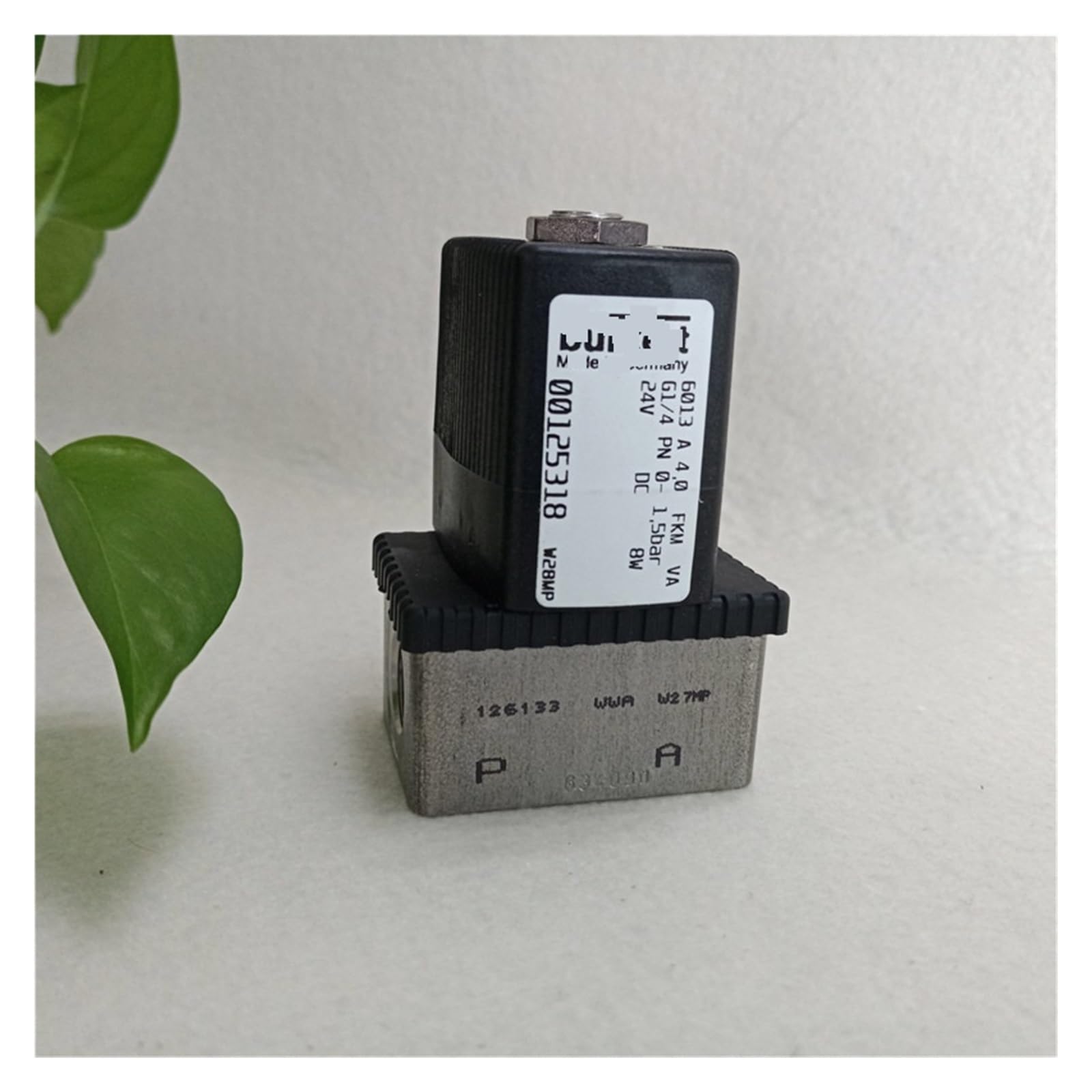 valvole a solenoide Elettrovalvola ad azione diretta 6013 G1/4 pollici * 2/2 normalmente chiusa, sigillata in FKM, corpo valvola 316, 24 V CC