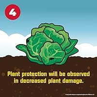 Vista 7 de Corry's Asesino de babosas y caracoles, caja de 1.75 libras