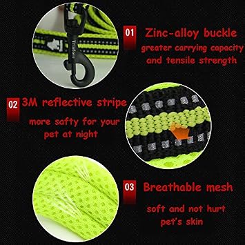 Creation Core Reflective Dog Leash Durable Padded Pet Leash Strap for Puppy Pet Leash Rope, Green 6.5Ft Long 1 Wide