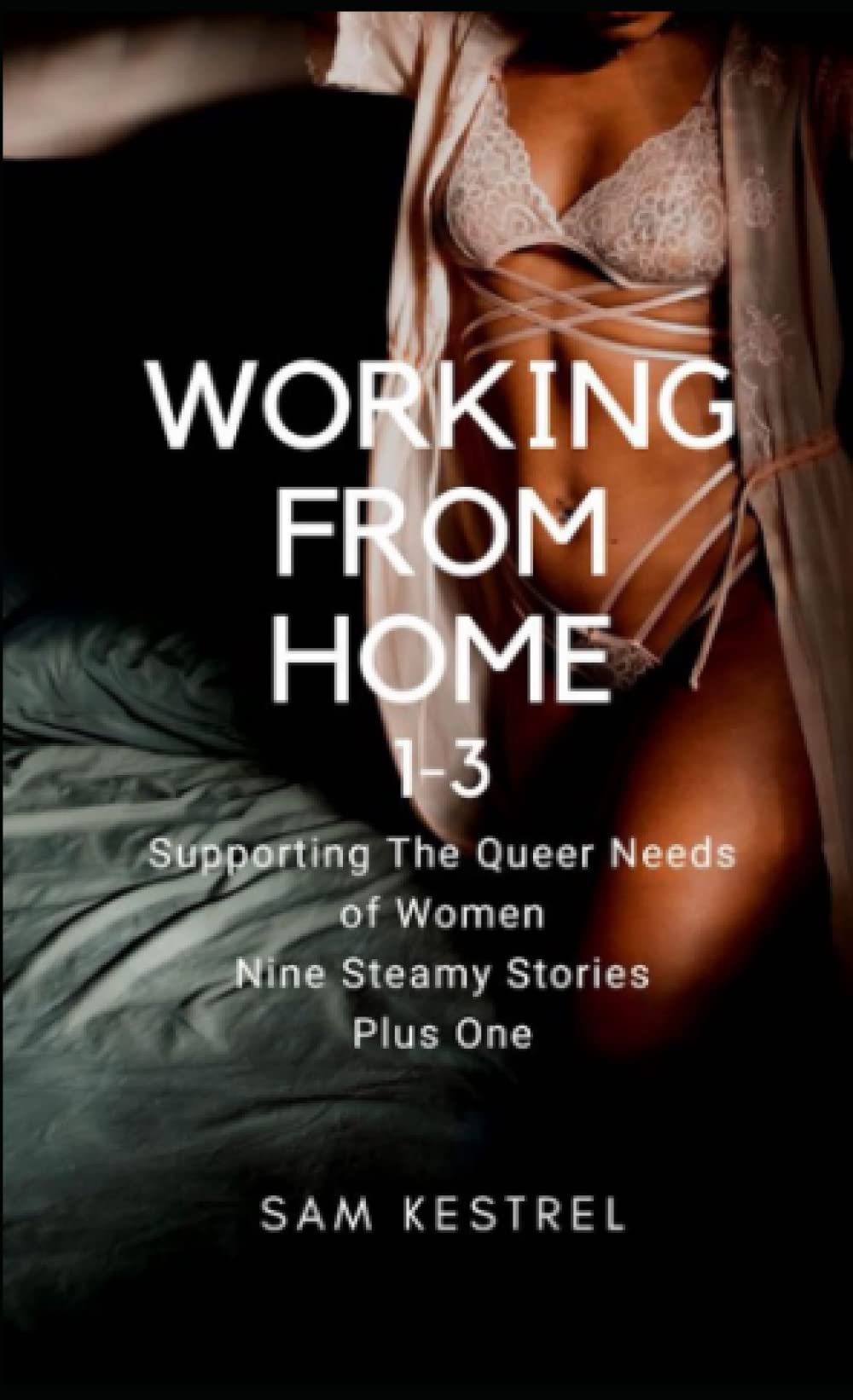 Working From Home 1-3: Supporting the Queer Needs of Women Nine Steamy Stories Plus One