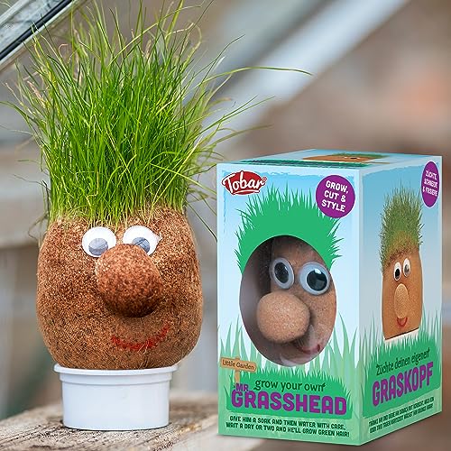 Tobar MR GRASSHEAD, Mixed, 100 x 75 x 130 millimeters - Image 3