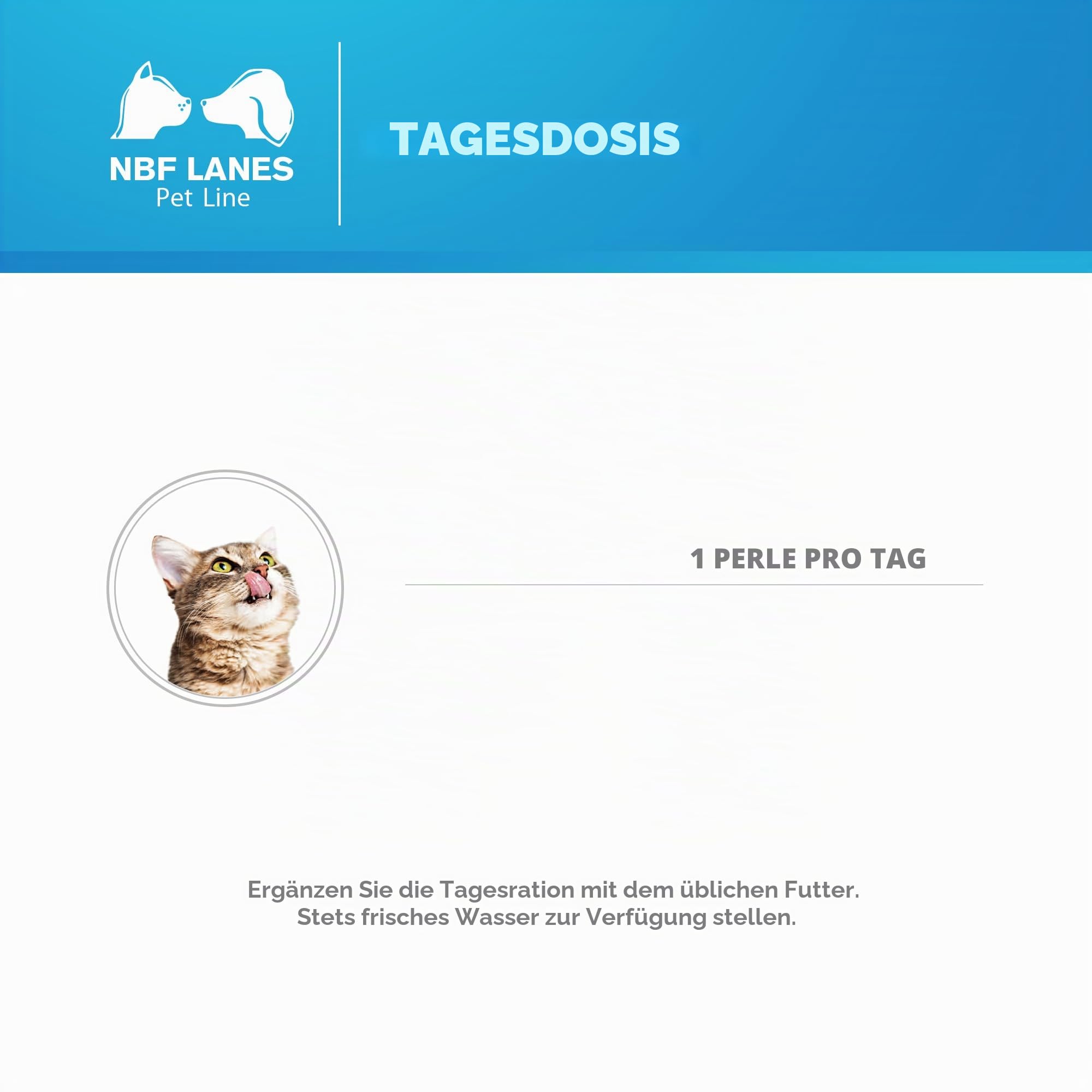 NBF Lanes | Nefrokrill Katze, Ergänzungsfuttermittel für Katzen, 60 Softgel-Perlen, Unterstützung der Nierenfunktion bei chronischer Niereninsuffizienz, für erwachsene und ältere Katzen