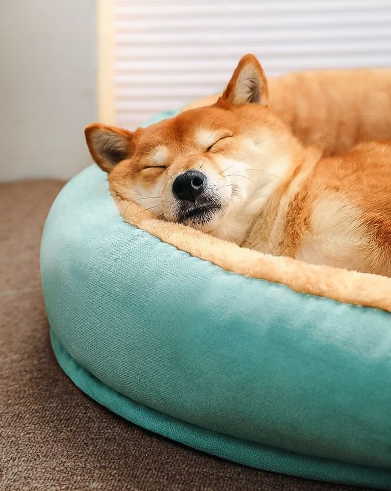 LINGXIYA Plüsch Hundematratze, Orthopädisches Hundebett, Memory Foam Hundebett, Donut Kuscheliges Hundekorb, Hundekörbchen Abnehmbar und Waschbar, für Fensterbank, Sofa, Boden, Auto, 75 * 55cm