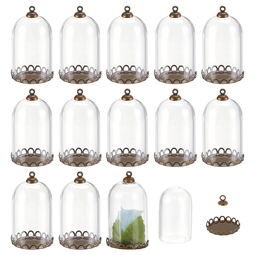 Cloche en verre mini contre la poussiere des specimens et petites plantes