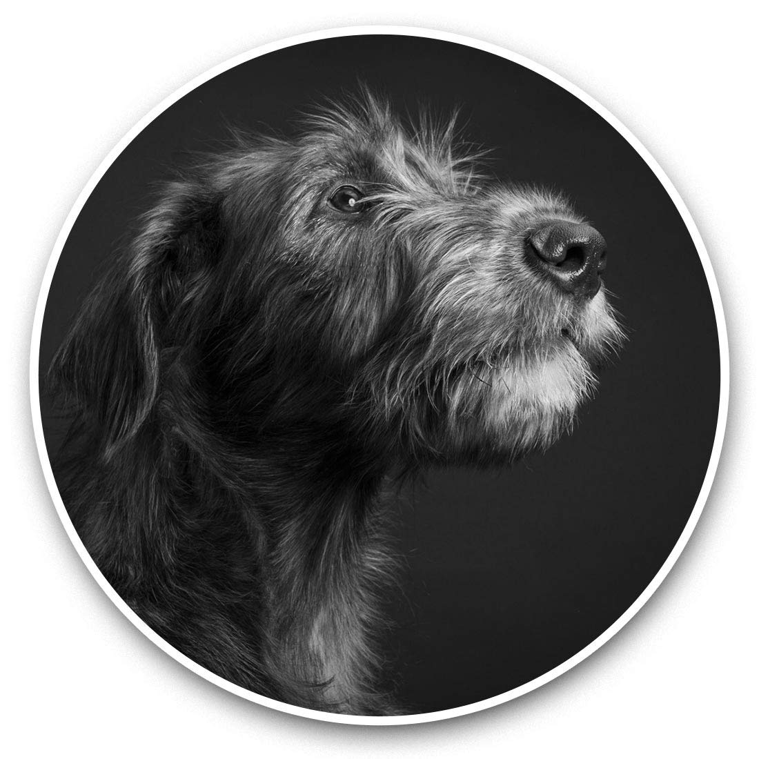 Destination Vinyl Ltd Bw Irish Wolfhound Dog Breed 35331 2 X 20Cm Vinyl Stickers - Irish Wolfhound Dog Breed Decals 35331
