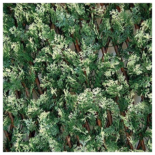 Tenax - Seto artificial con hojas extensibles de sauce, Divy 3D X-Tens Cyprus, 1 x 2 m, verde/blanco