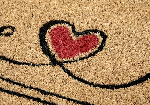 Hanse Home Kokos Fußmatte - rutschfeste Schmutzfangmatte Natur für Innen, Fußabtreter Cat Home Kokosfaser Kokosmatte für Flur, Eingangsbereich & überdachten Außenbereich - 40x70cm