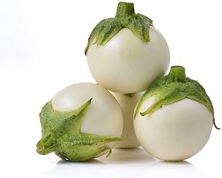 50Pcs Round Eggplant Seeds White Epidermis High Germination Rate Planting Vegetable Seed Outdoors in Spring Easy to Care Gifts for Gardeners