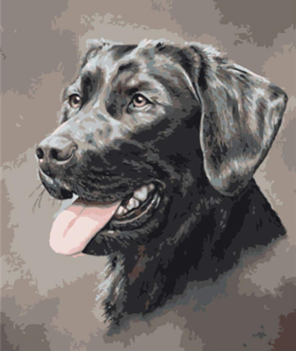 Peinture par numéros animaux pour réduire le stress par l'art floral 40x50