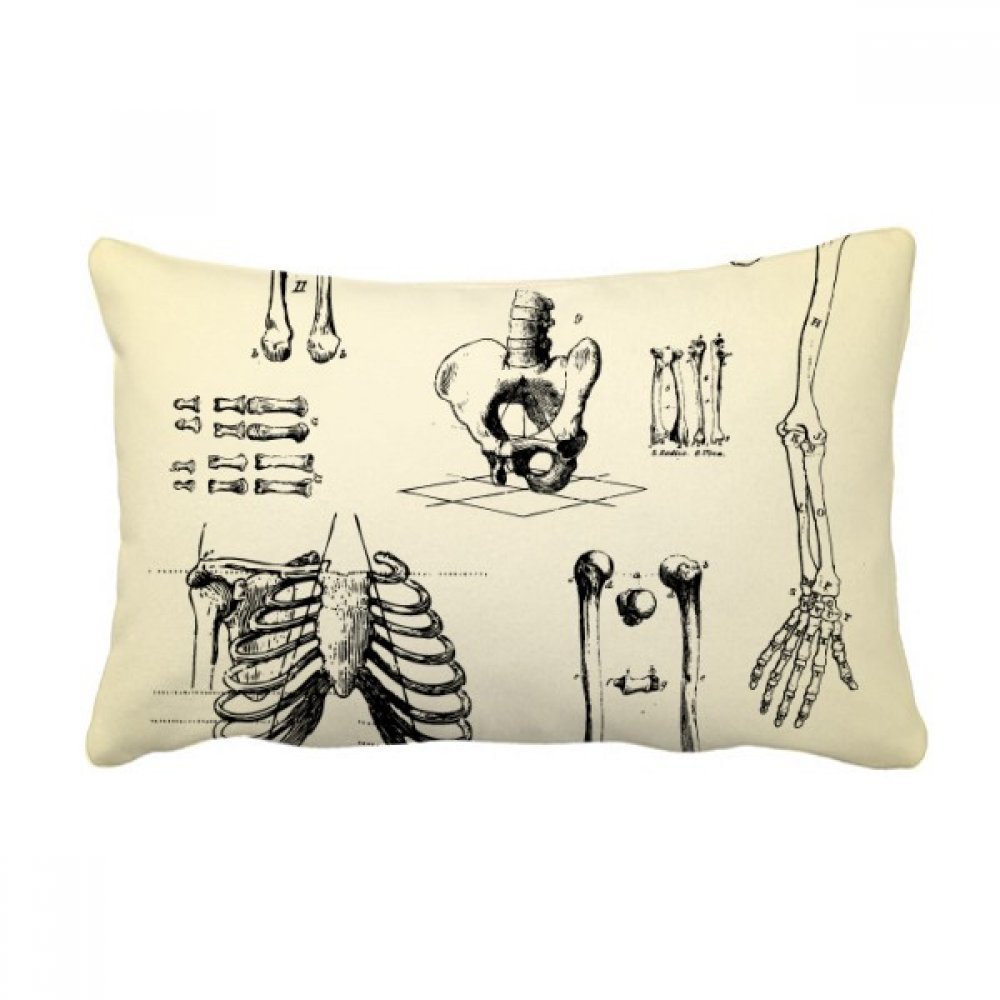 Coussin lombaire squelette humain de haute qualité pour sublimer votre intérieur
