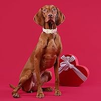 Vista 214 de DOGWONG Collar de perro Airtag de algodón y cáñamo, collar resistente para perros con soporte para Airtag, collares verdes para perros pequeños