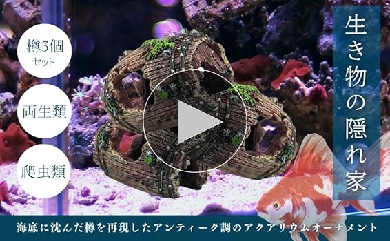 Amazon.co.jp: Archnote アクアリウム 水槽 オブジェ 置物