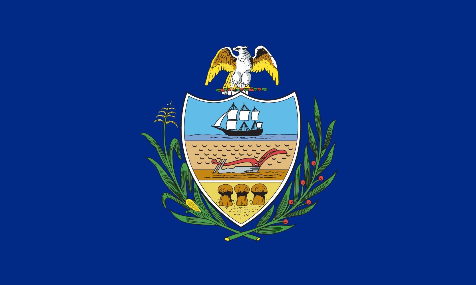 Drapeau Allegheny County haute qualité finition paysage grand format