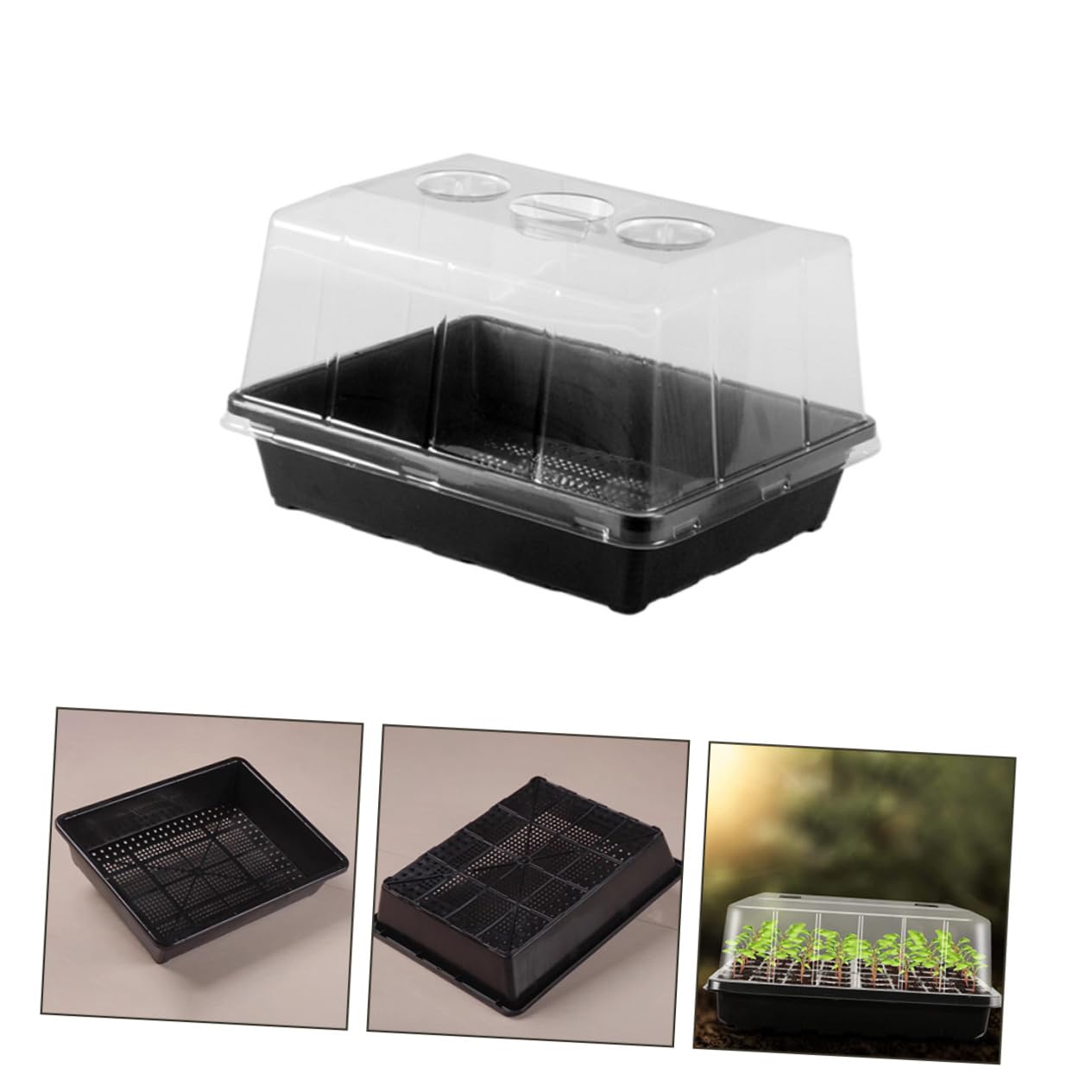 INOOMP Plateau de Germination Modèle S pour Semis en Plastique, Lot 1 Set