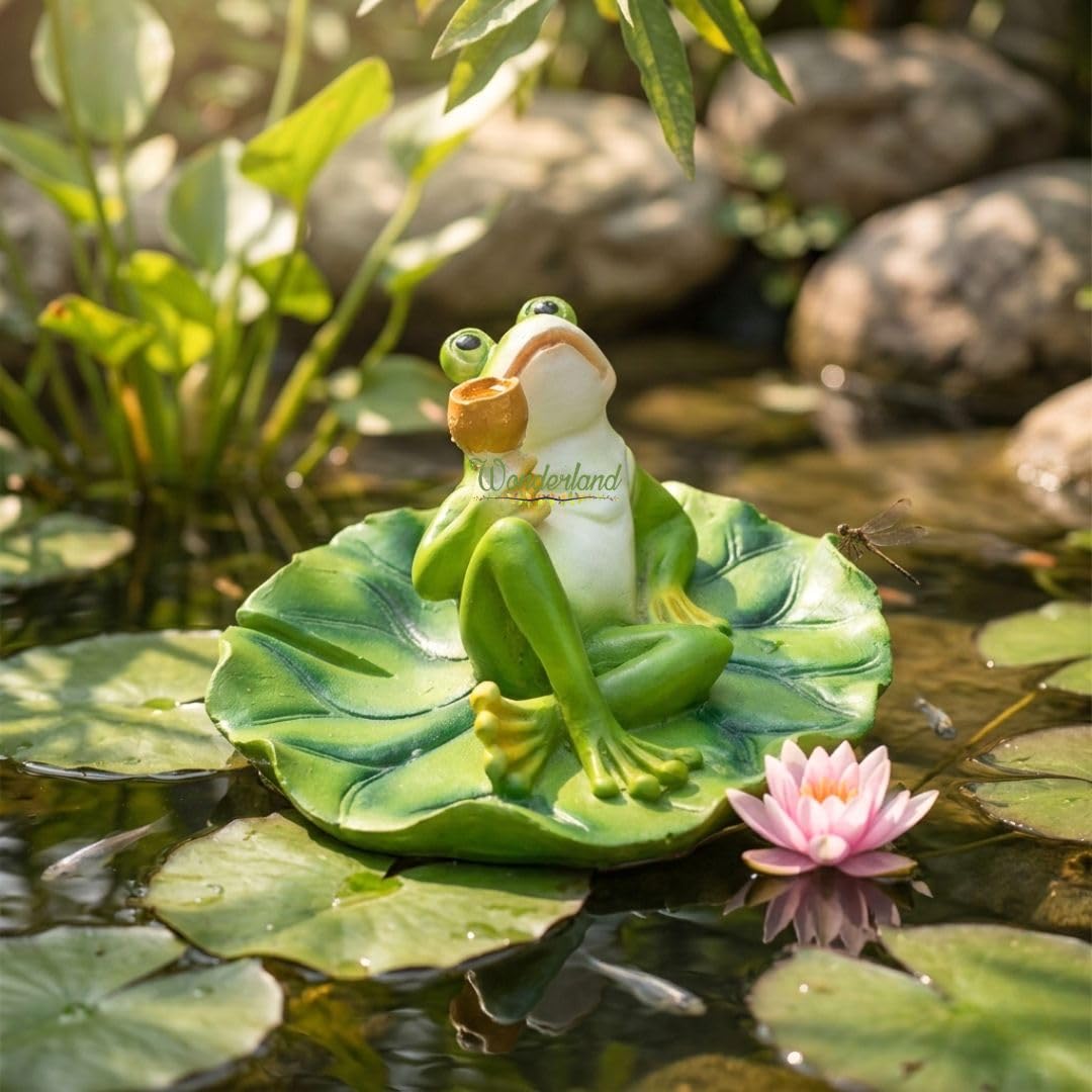 Wonderland Frog with Glass Statue (Garden or Home Decor, Gifting, Gift, Garden Statue, Balcony Decor)-image-8