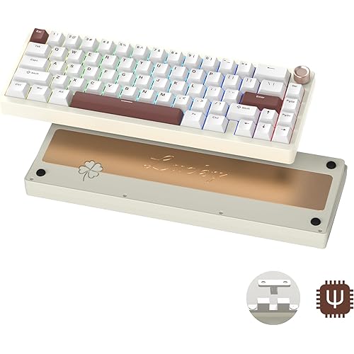 Womier SK65 Wireless Mechanical Gaming Keyboard with Knob, 60 Percent Aluminium Keyboard for PC, Bluetooth 5.0/2.4GHz/USB-C Wired, Hot Swappable Custom Lineaner Switch, RGB Backlit (Creamy White V2)