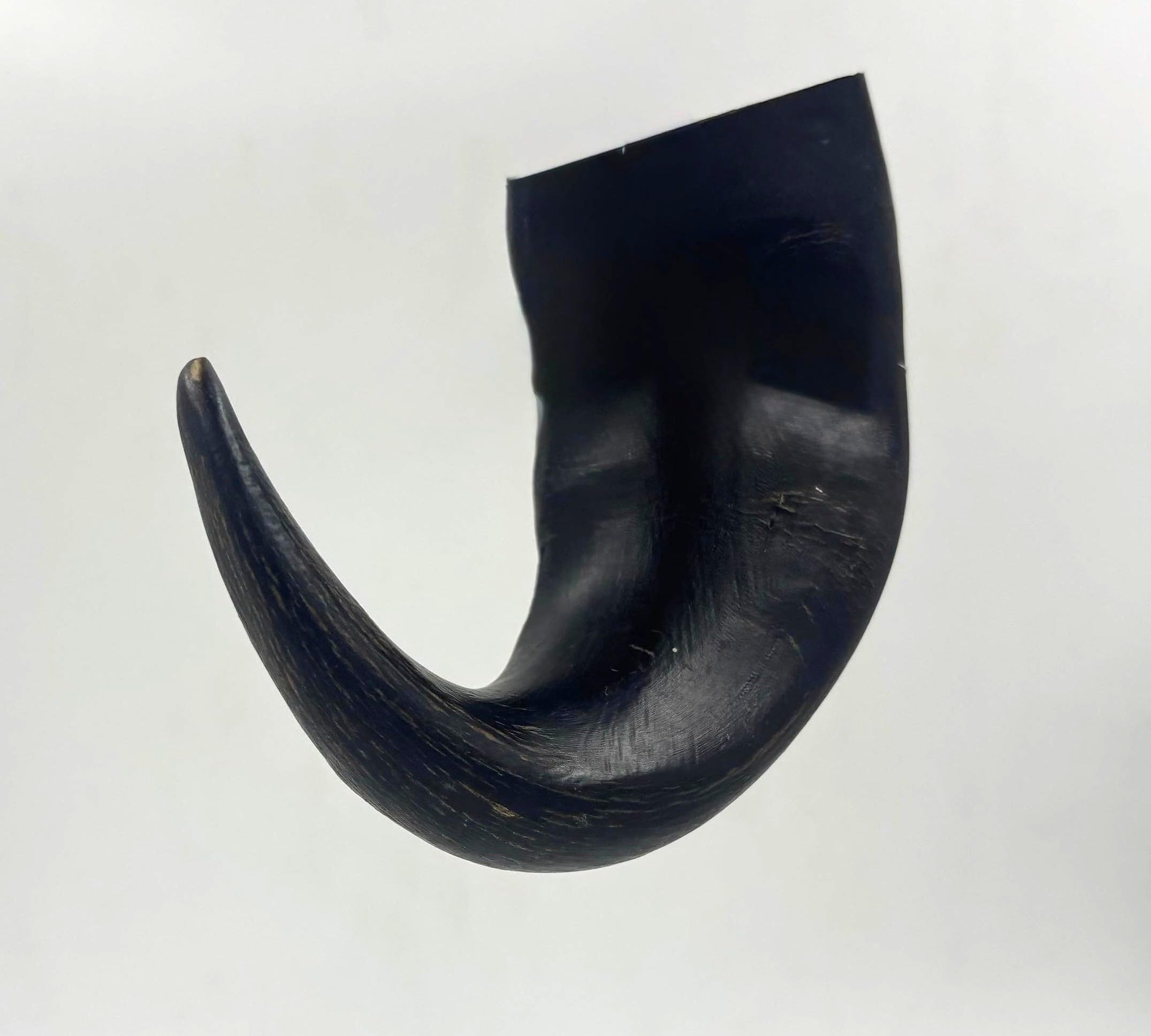 2 Buffalo Bull Horns (100-150 gms each) 100% Natural Dog Treats Chews - Long Lasting, Improves Dental Health