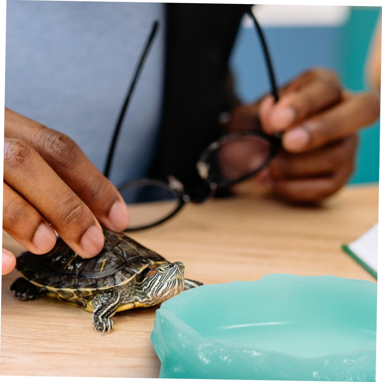 Milisten 2pezzi Ciotole per Rettili Ciotole per Notturne per Lucertole e Tartarughe Lavabili e Pratiche per Alimentazione Reptile