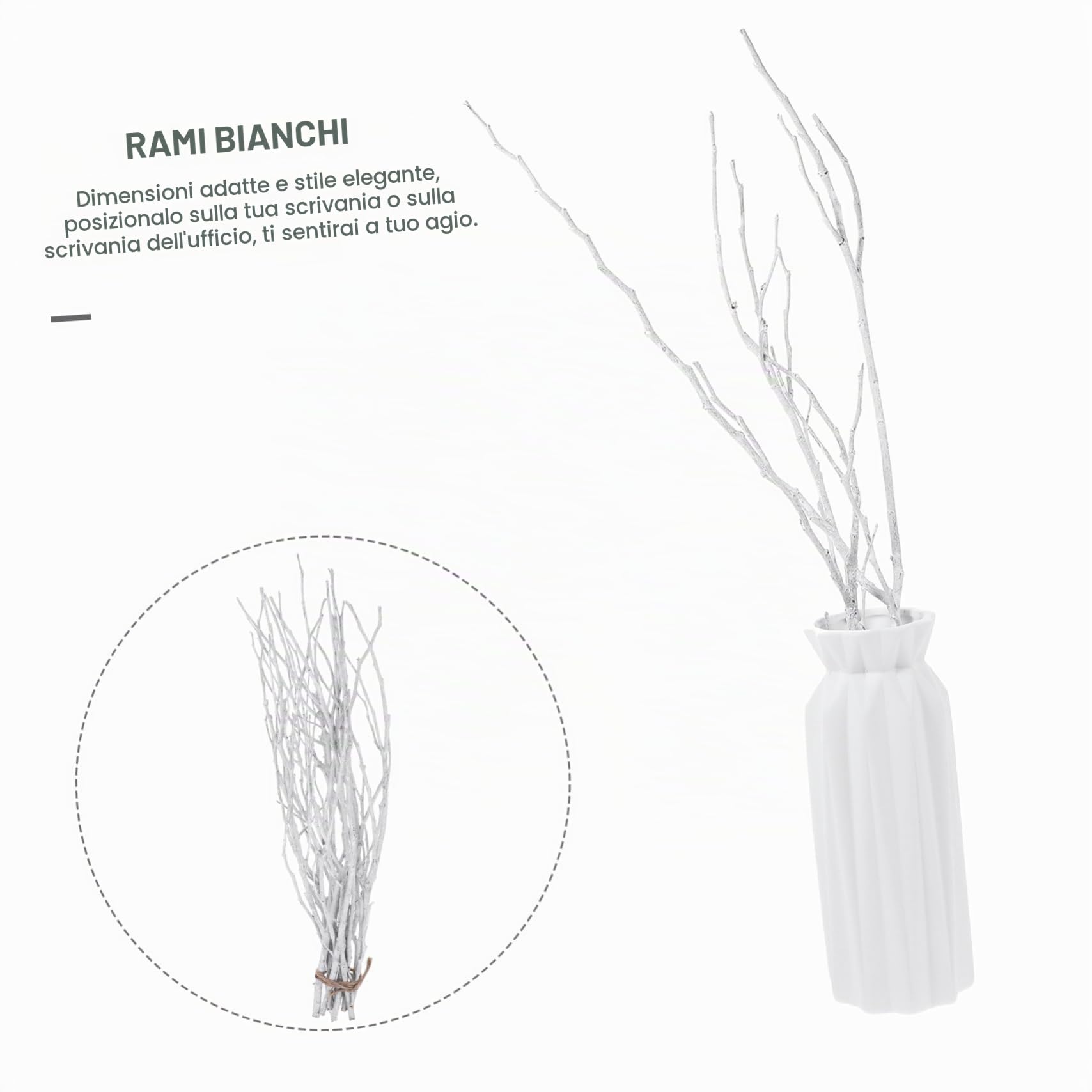 DECHOUS 10 Pezzi Rami Secchi Decorativi per Vaso Ramo Decorativo Legno da 50 cm Rami di Betulla Bianca