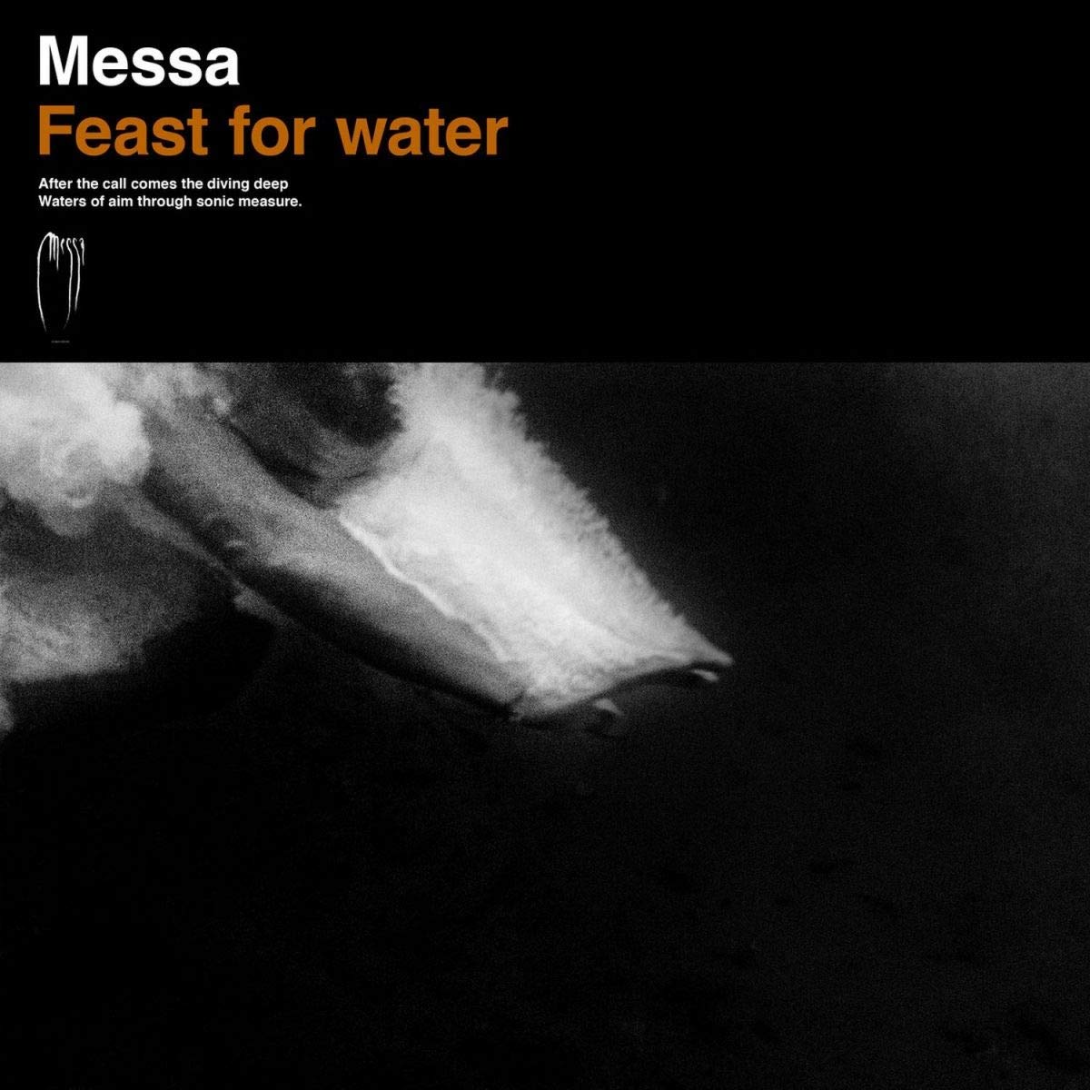 Feast For Water [VINYL]