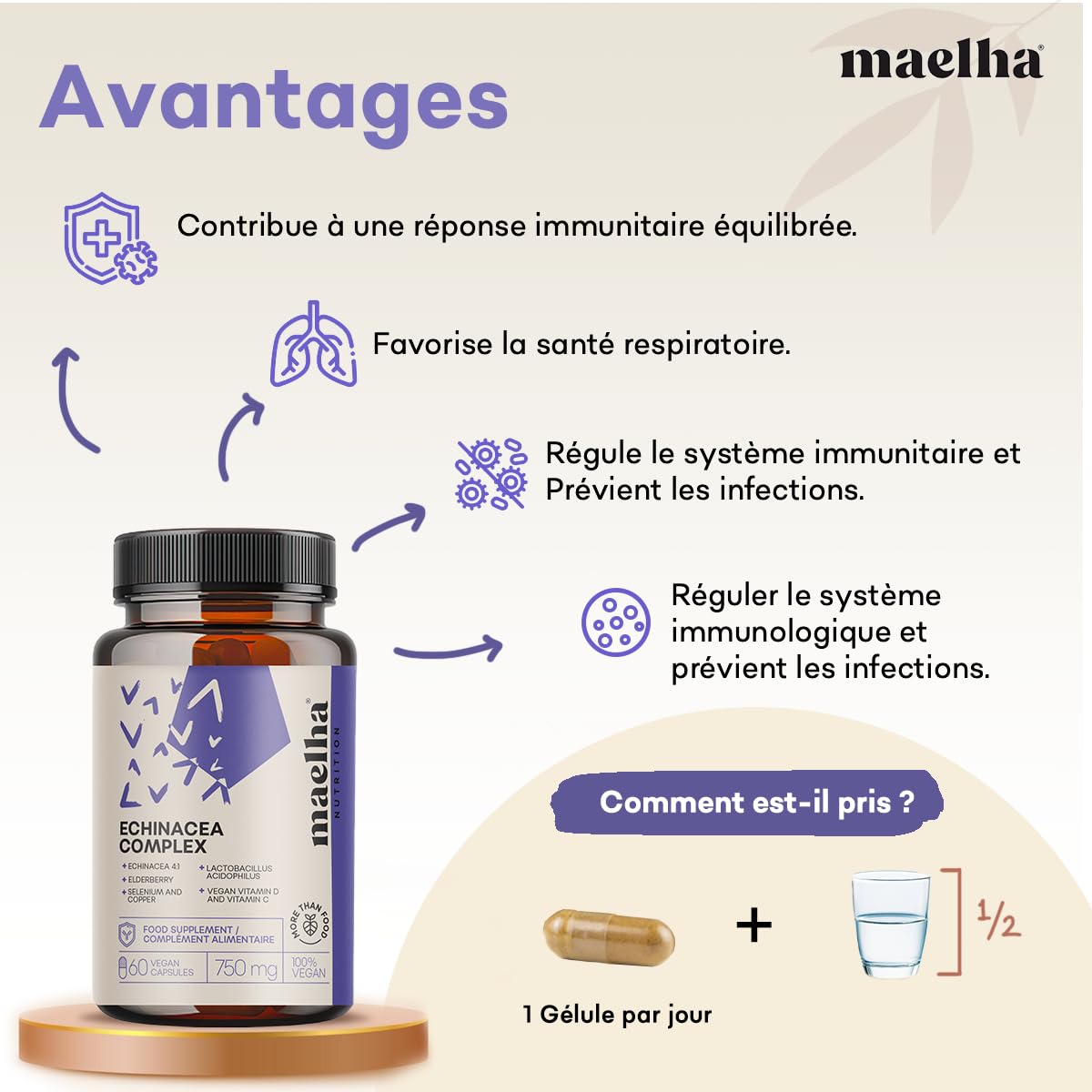 ÉCHINACÉE COMPLEX | Échinacée, ESTER-C, Bêta-glucanes, Sureau, Vitamine D, Sélénium, Cuivre, Lactobacillus acidophilus | Système immunitaire | 60 Gélules végétales | Formule 100% VEGAN